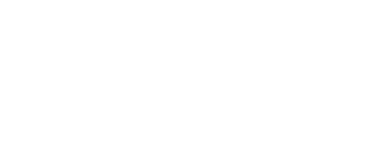 VyStar Credit Union Logo